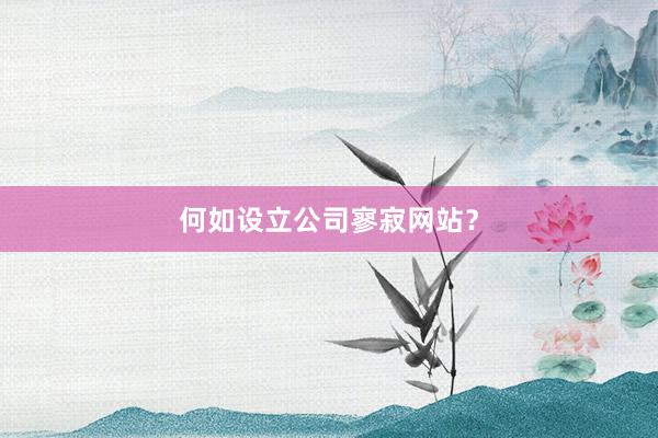 何如设立公司寥寂网站？